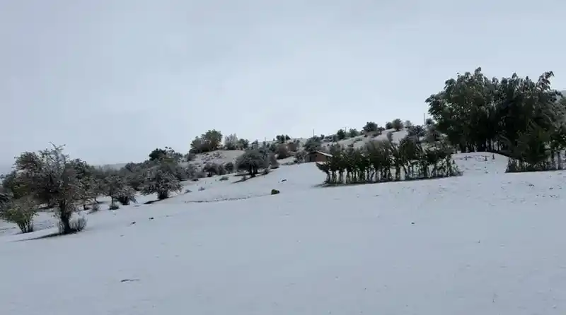 Bingöl’ün yüksek kesimlerine mevsimin ilk karı yağdı

