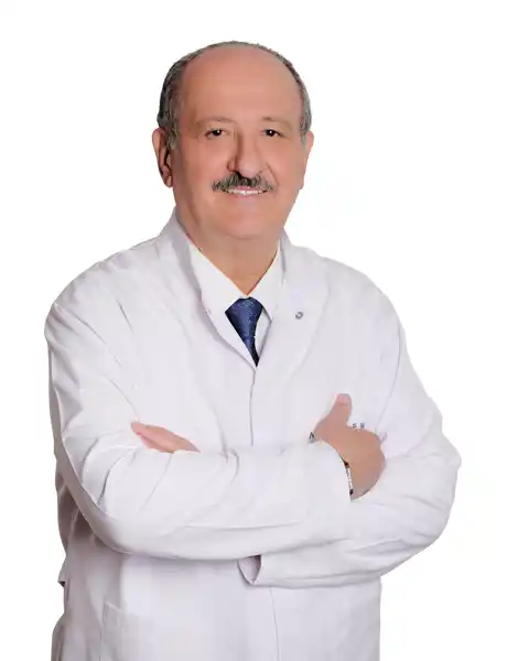 Prof. Dr. Metintaş: 