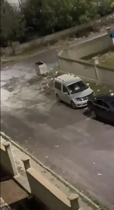 Kurt kent merkezine indi
