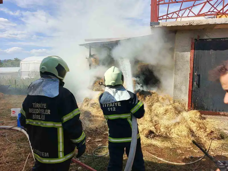 Bucak’ta ot balyaları yandı
