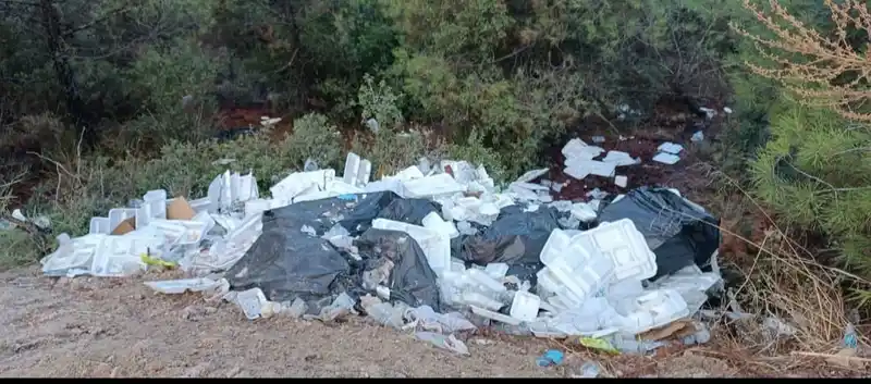 Ormanı çöplük yaptılar
