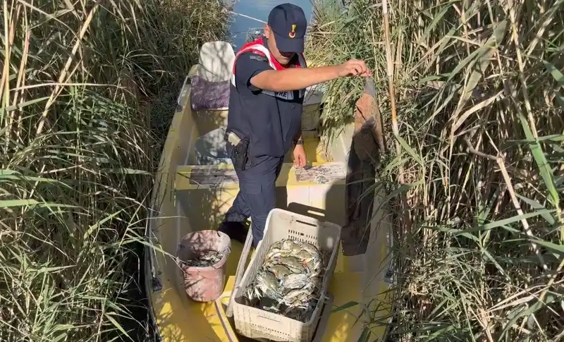 Göksu Deltası’nda mavi yengeç avcıları yakalandı
