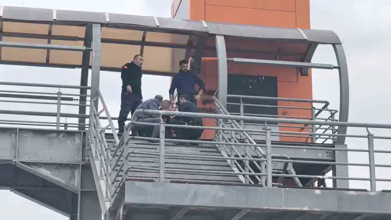 Üst geçitten indirildi, herkes alkışladı
