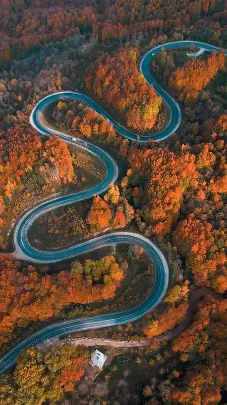 Bursa’da sonbaharla ormanlara gelen renk cümbüşü
