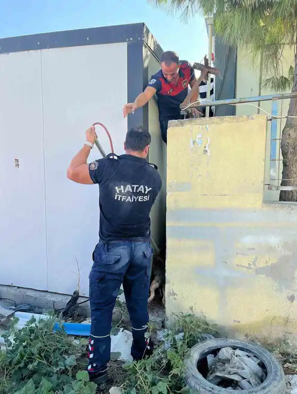 Duvar ile konteyner arasında sıkışan köpeği itfaiye kurtardı
