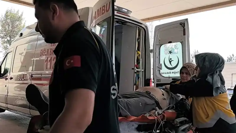 Ağaçtan düşen adam hayatını kaybetti
