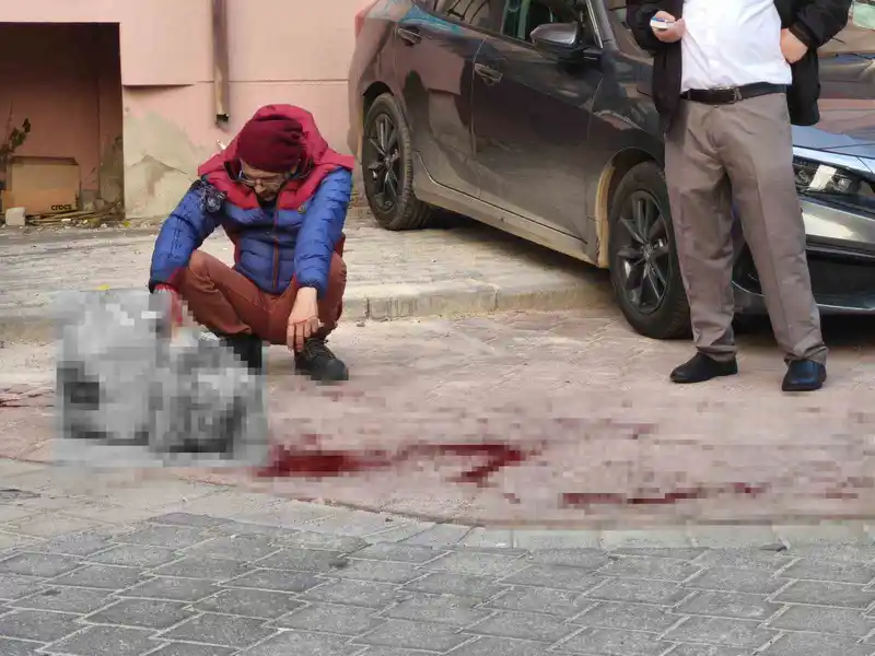 Tartıştığı ağabeyini sokak ortasında bıçaklayıp evine döndü
