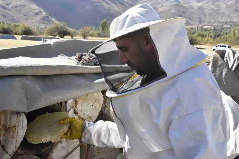 Uluslararası ödüllü Bitlis karakovan balında hasat zamanı
