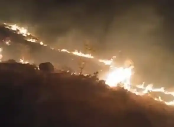 Emirgazi’de mera yangını
