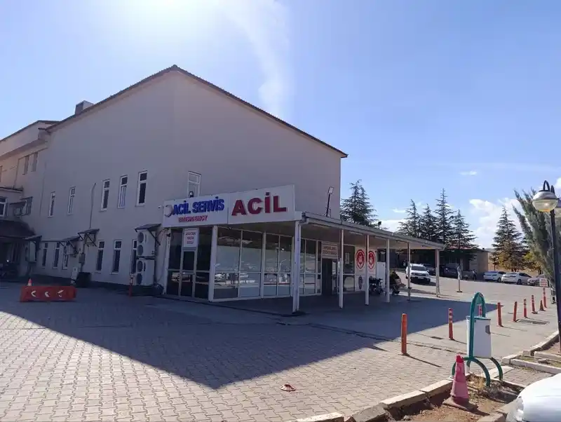 Kahramanmaraş’ta arının soktuğu çocuk hayatını kaybetti
