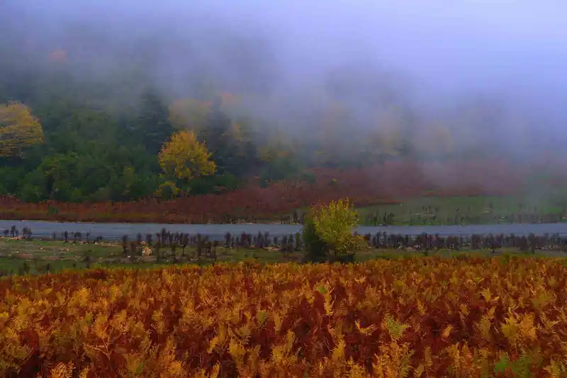 Sisler içindeki vadinin kalbinde doğa yürüyüşü
