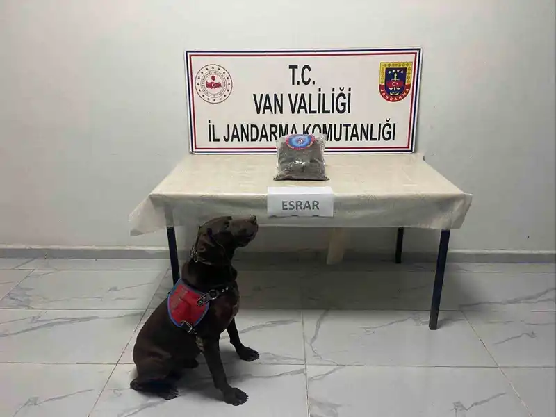 Hakkari’de kubar esrar ele geçirildi
