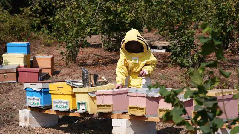 Düzce Üniversitesi mezunlarından uluslararası başarı
