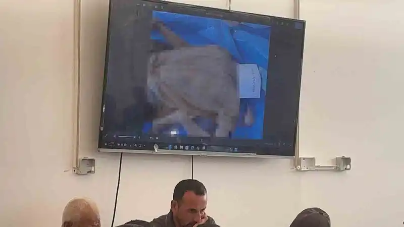 Gazze’de tanınmaz haldeki cenazeler teşhis edilmeye çalışılıyor
