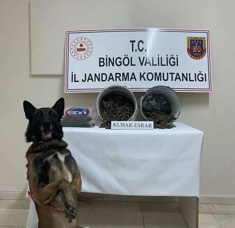 Bingöl’de 2 kilo esrar ele geçirildi: 1 tutuklama
