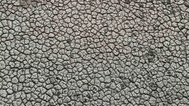 Kuraklığın izi: Seyhan Baraj Gölü’nde sular çekilince toprak çatladı
