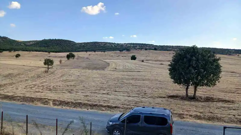 Kulp’ta sağanak başladı, çitçiler umutlandı
