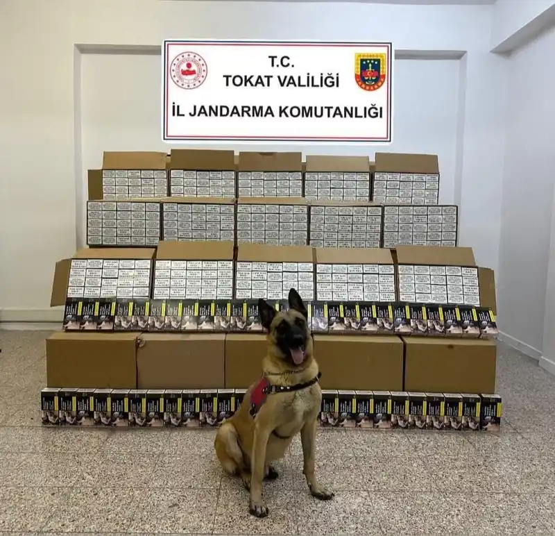 Tokat’ta 1 milyon 200 bin TL değerinde bandrolsüz makaron ele geçirildi
