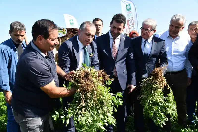Osmaniye Fıstık Festivali’ne hazırlanıyor
