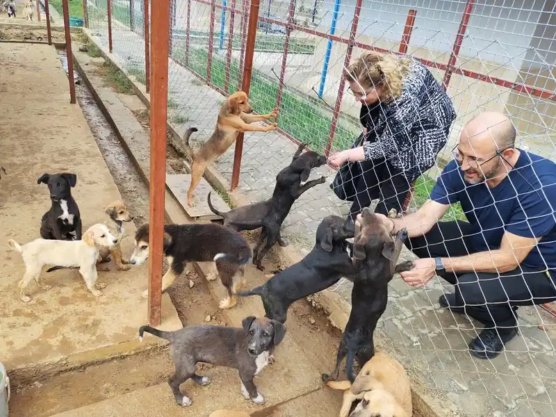 Germencik Sokak Hayvanları Rehabilitasyon Merkezi açılış için gün sayıyor
