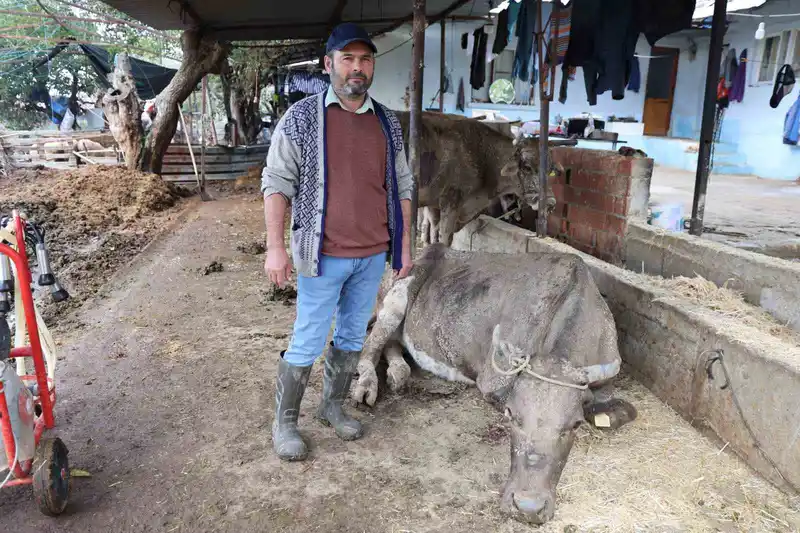 Hayvanları sele kapılan Aktaş: 