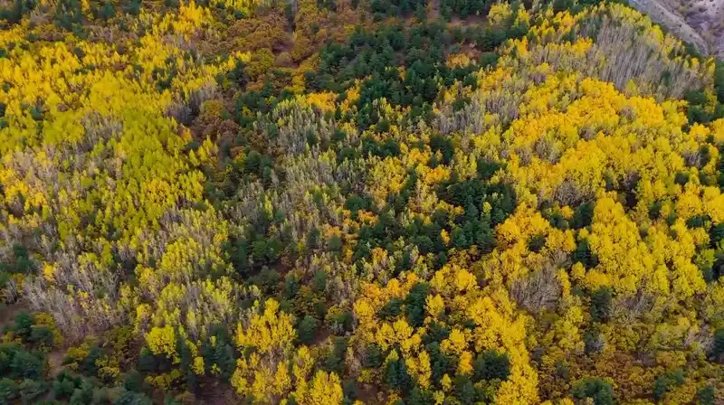 Sonbaharda seyirlik manzara
