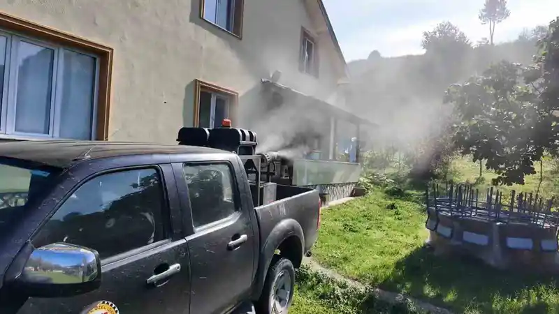 Kahverengi kokarca ile mücadele sürüyor
