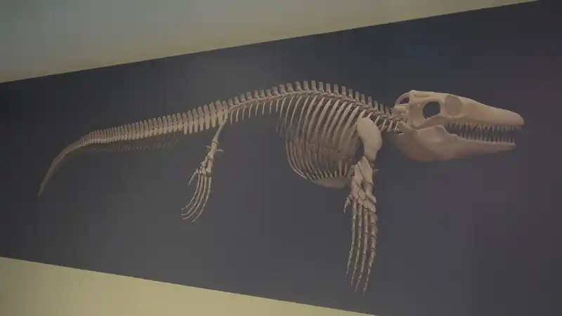 Türk profesör, Asya’da ilk kez keşfedilen 