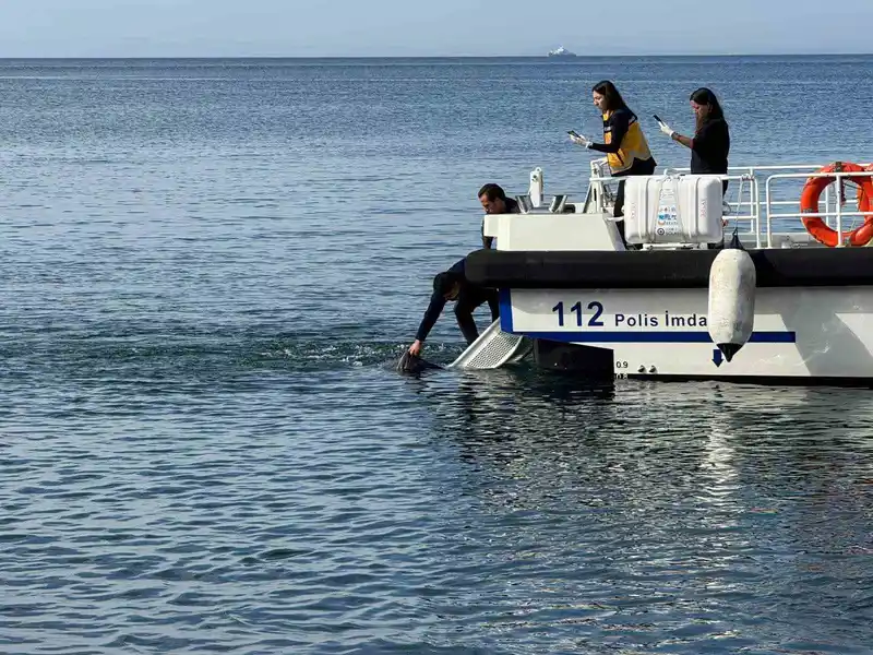 Erdek’te denizde erkek cesedi bulundu
