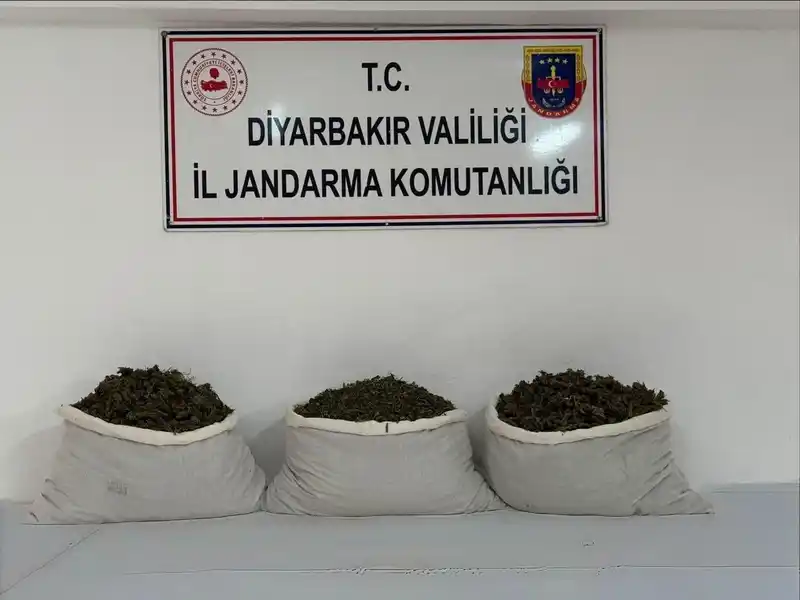 Diyarbakır’da uyuşturucu operasyonları
