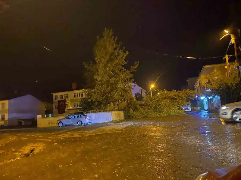 Rüzgarın kökünden söktüğü ağaç otomobilin üzerine devrildi
