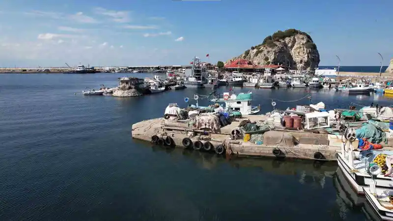 Şile’de bu yıl palamut avı beklenenin çok altında kaldı
