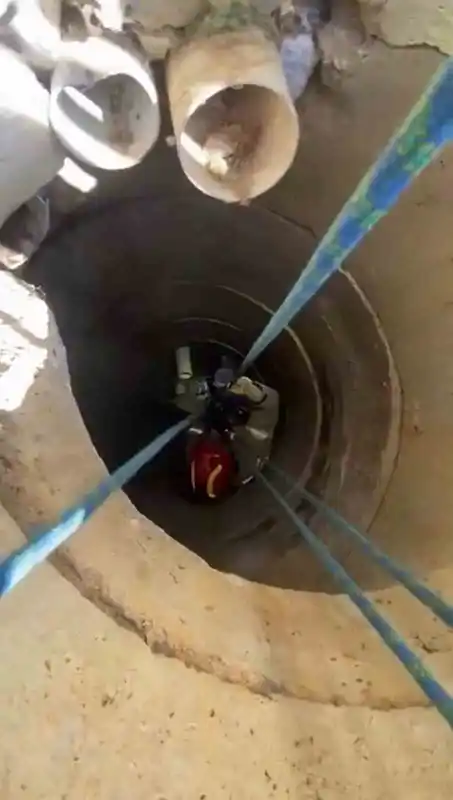 Tuzla’da 10 metrelik kuyuya düşen köpek operasyonla kurtarıldı
