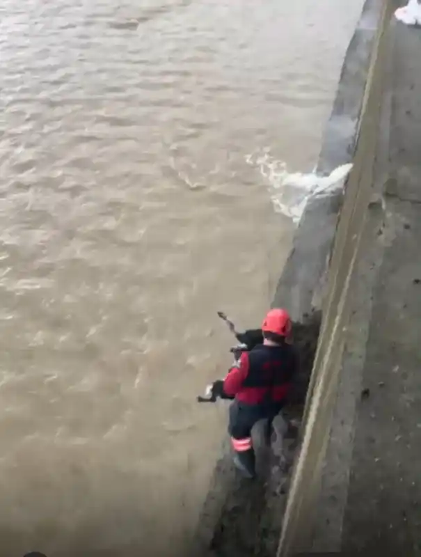 Derede mahsur kalan köpeği itfaiye ekibi kurtardı
