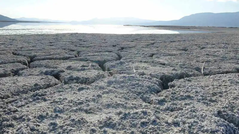 Uzmanlardan kritik uyarı: 