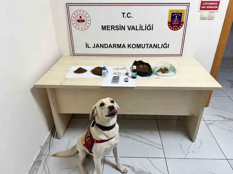 Mersin’de uyuşturucu operasyonu: 5 şüpheli tutuklandı
