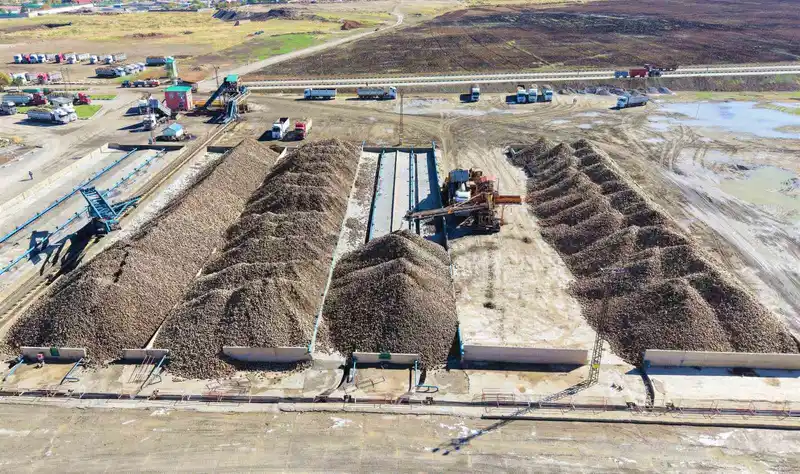 Muş Ovası’nda 1,7 milyar TL’lik tatlı yolculuk
