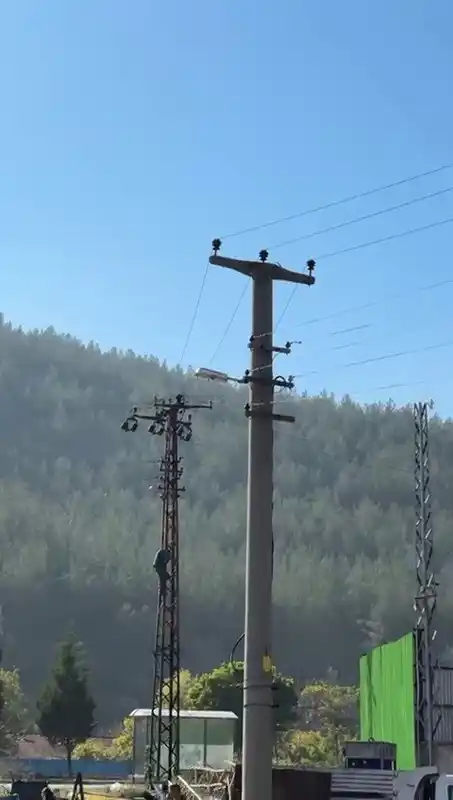 Trafik cezasına öfkelenen sürücü elektrik direğine çıktı
