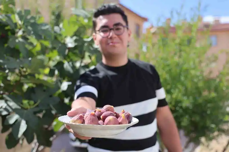 Konya’da yetişmesi zor bilinen inciri apartman bahçesinde yetiştirdi
