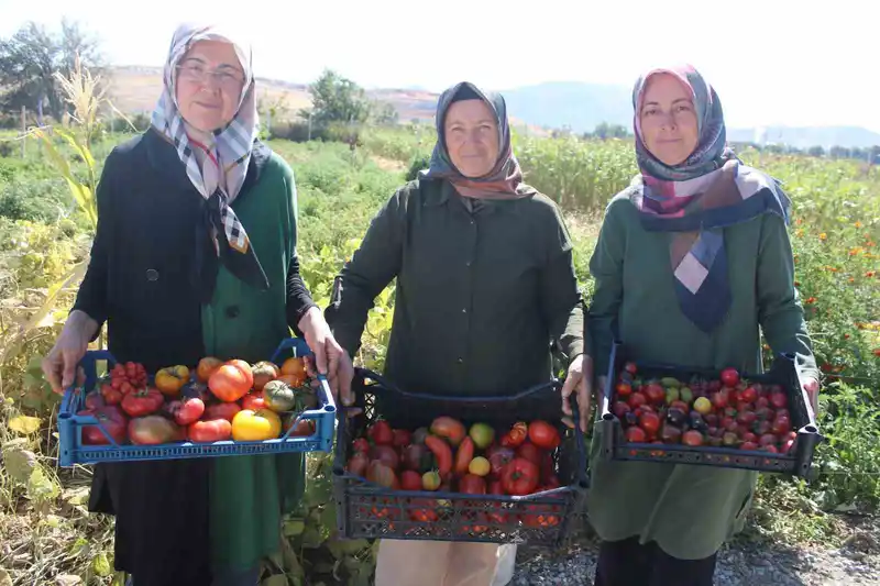 Bu bahçede 55 çeşit domates, 22 çeşit biber üretiliyor
