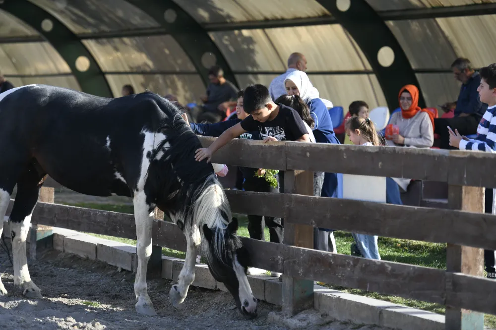 Ücretsiz olan hayvanat bahçesine ziyaretçi akını