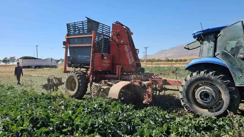 Tarımın kalbi Adilcevaz’da pancar sökümüne başlandı
