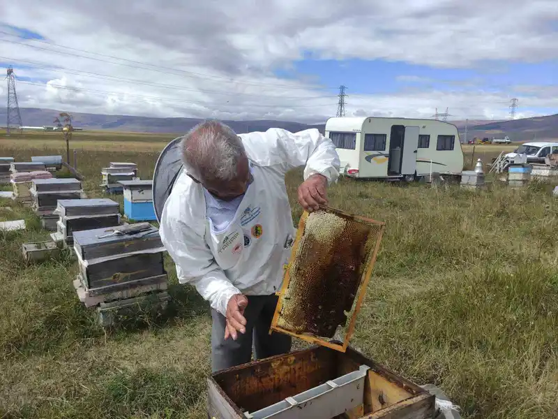 Arıcılar Birliği Başkanı Evliyaoğlu: 
