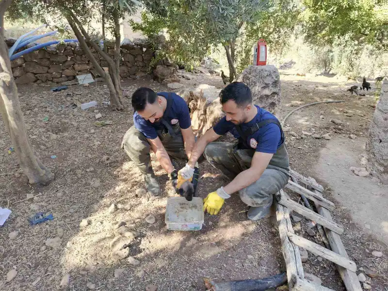 Şanlıurfa’da foseptik çukuruna düşen köpek yavrusu kurtarıldı
