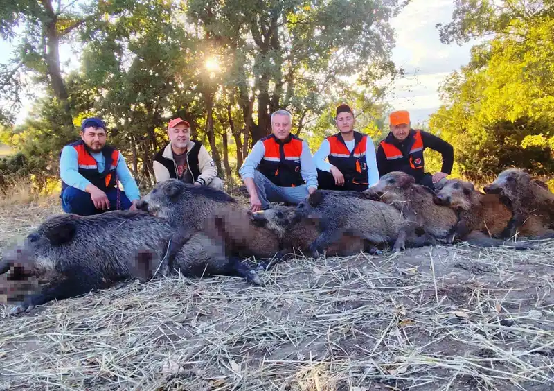Hisarcıklı avcılar 6 saatte 7 yaban domuzu vurdu
