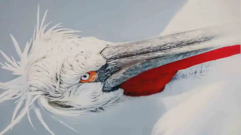 Malatya’da ‘Kuşların Dünyası’ sergisi yoğun ilgi gördü
