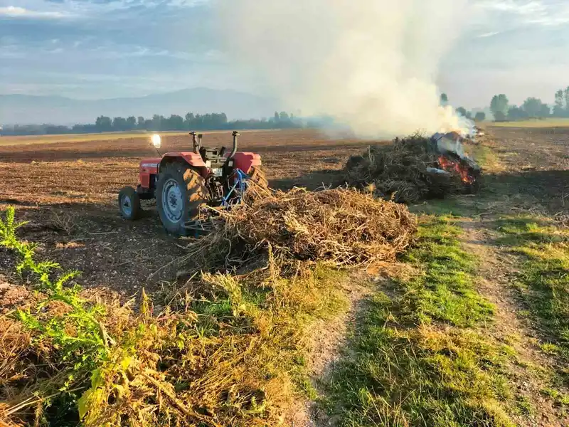 Bolu’da anız yakana hapis ve para cezası var
