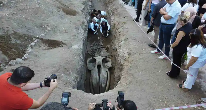 Heyecanlandıran keşif: ’16 metrelik ’Balina’nın kafatası ve gövdesi tamamen ortaya çıktı
