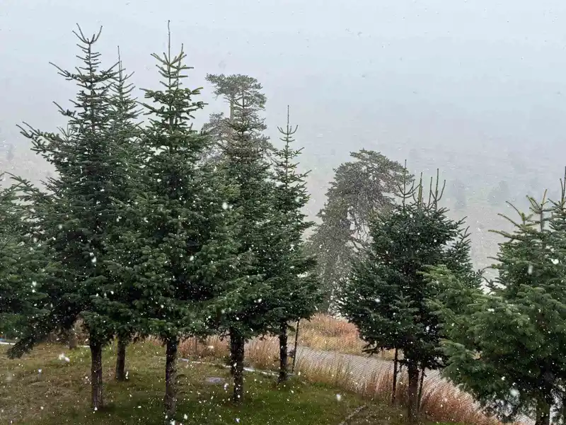 Bolu’da mevsimin ilk karı yağdı
