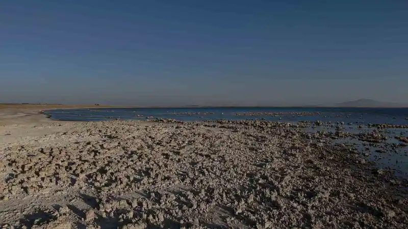 Van Gölü’nde kuraklık alarmı: Suyun çekilmesi endişe verici bir tabloya dönüştü
